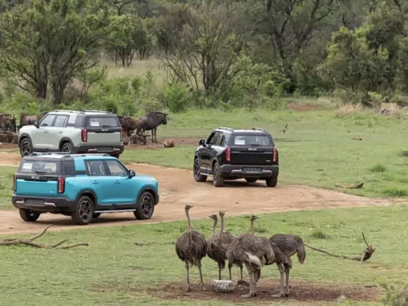BAIC B30 Rolls Off the Production Line via CKD in South Africa, Chinese Automakers Deepen Presence i