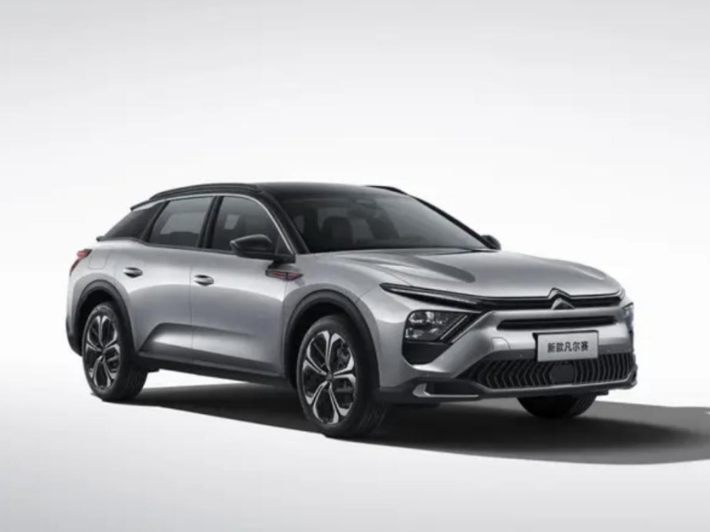 DPCA Launches Overseas Custom Models to Accelerate Global Expansion
